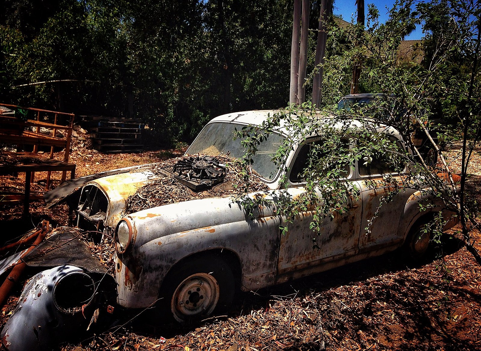 Une voiture blanche et très âgée avec beaucoup de rouille et elle est couverte de feuilles